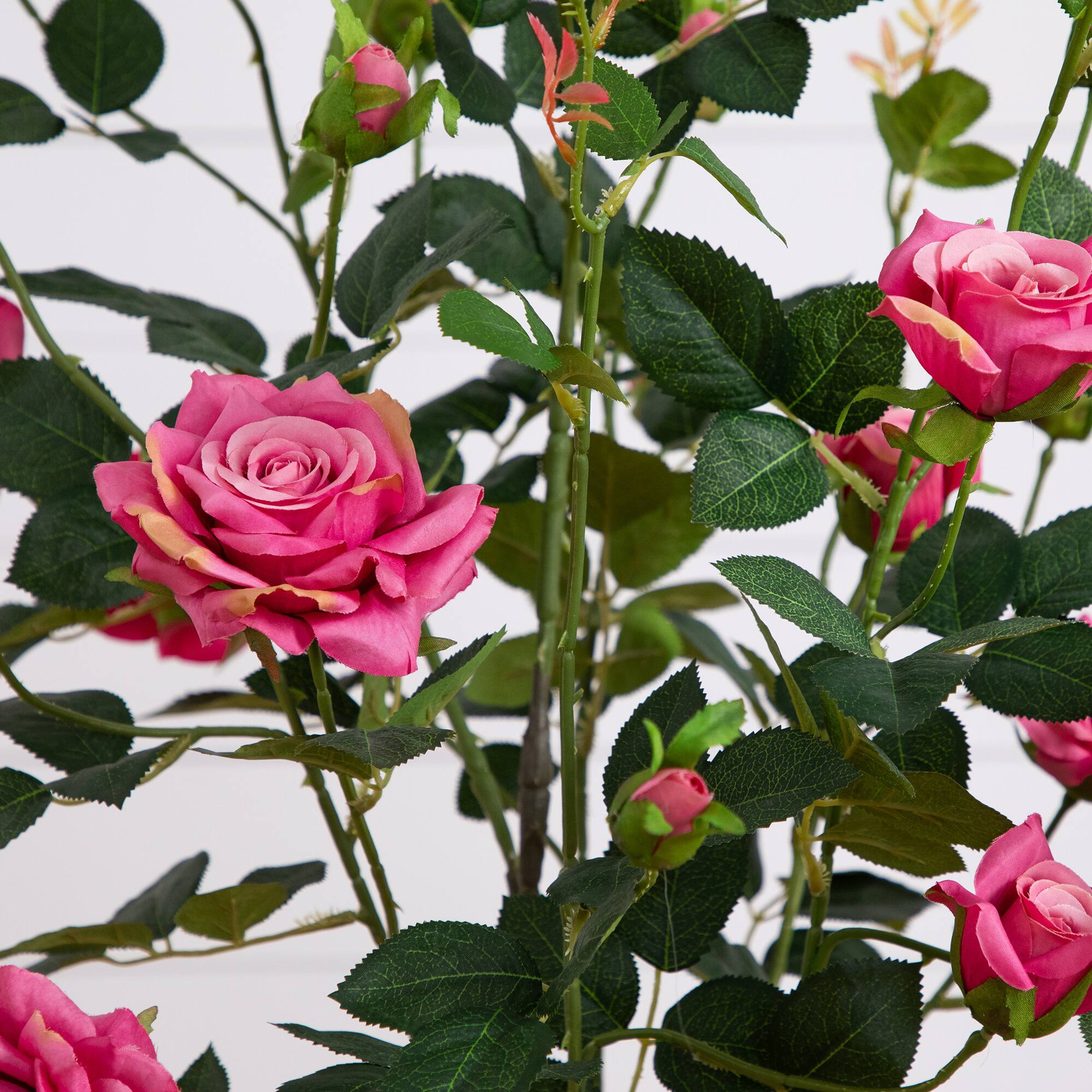 4ft. Pink Rose Tree in Black Pot